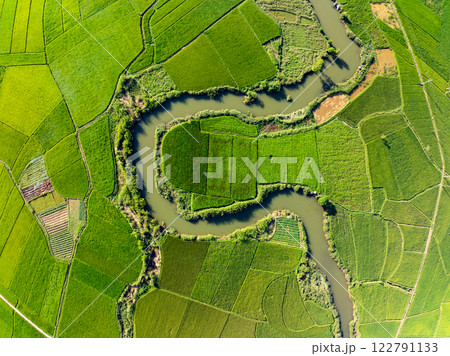 Aerial top view of Green rice field at northern vietnam,Beautiful destination in Northern Vietnam,Travel and landscape concept, Nature and rice fields background 122791133