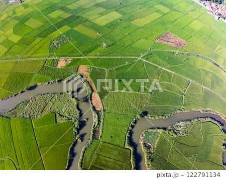 Aerial top view of Green rice field at northern vietnam,Beautiful destination in Northern Vietnam,Travel and landscape concept, Nature and rice fields background 122791134