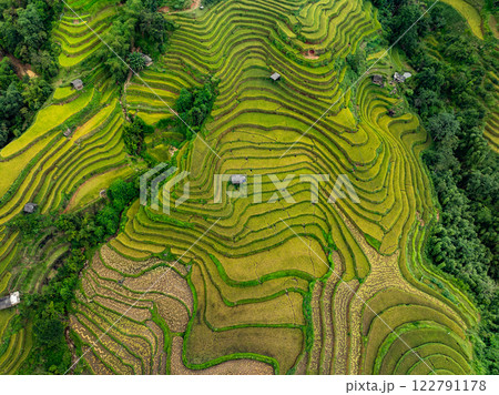 Aerial top view Rice fields on terrace northern Vietnam, Rice fields prepare the harvest at northwest vietnam,Wide angle view 122791178