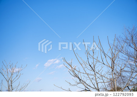 冬の風景 枯れ木 晴れ 風景素材 122792093