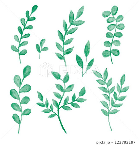 Vector hand drawn watercolor illustrations. Botanical clipart. Set of Green leaves, herbs and branches. Floral Design elements for wedding invitations, greeting cards, posters, blogs, ornate notebooks Vector hand drawn watercolor illustrations. Botanical clipart. Set of Green leaves, herbs and branches. Floral Design elements for wedding invitations, greeting cards, posters, blogs, ornate notebooks 122792197