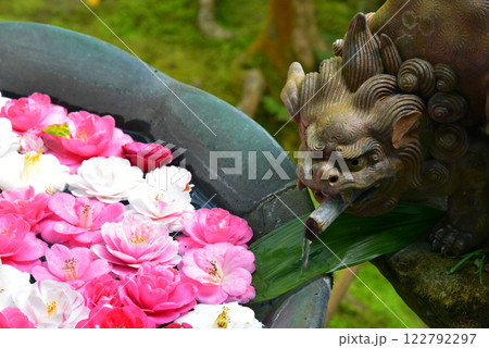 京都　法然院の花手水 122792297