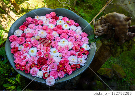 京都 法然院の花手水 京都 法然院の花手水 122792299