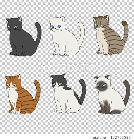 座っている黒猫、白猫、キジトラ、茶トラ、ハチワレ、シャム猫のセット 122792559