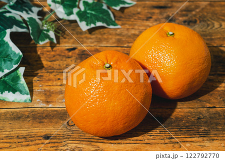 いよかん　愛媛県の特産品で濃厚な味わいの柑橘類 122792770