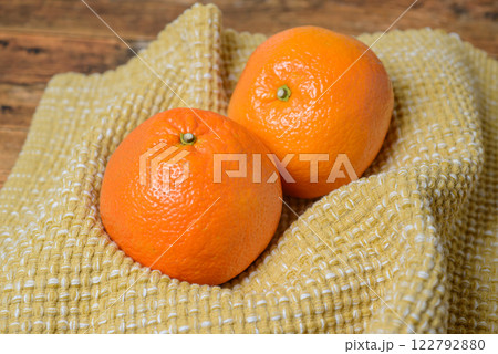 いよかん 愛媛県の特産品で濃厚な味わいの柑橘類 いよかん 愛媛県の特産品で濃厚な味わいの柑橘類 122792880