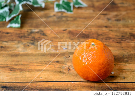 いよかん 愛媛県の特産品で濃厚な味わいの柑橘類 いよかん 愛媛県の特産品で濃厚な味わいの柑橘類 122792933