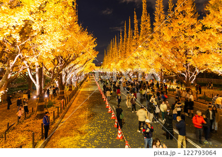 《東京都》イチョウ並木のライトアップ・神宮外苑 《東京都》イチョウ並木のライトアップ・神宮外苑 122793064