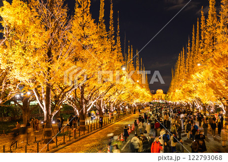 《東京都》イチョウ並木のライトアップ・神宮外苑 《東京都》イチョウ並木のライトアップ・神宮外苑 122793068