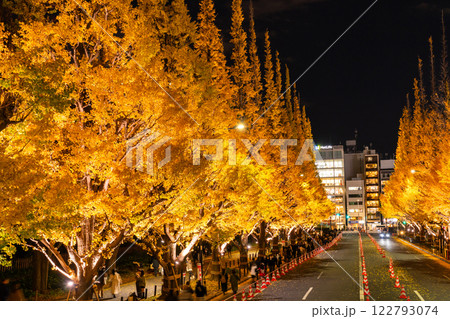 《東京都》イチョウ並木のライトアップ・神宮外苑 122793074