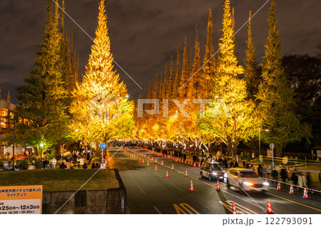 《東京都》イチョウ並木のライトアップ・神宮外苑 122793091