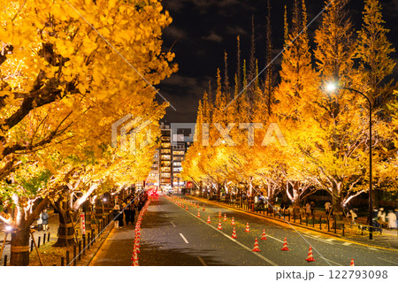 《東京都》イチョウ並木のライトアップ・神宮外苑 122793098