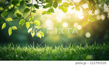 green leaves on grass background green leaves on grass background 122793526