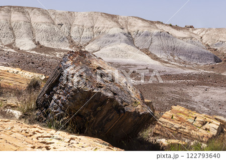 Petrified desert landscape with a close up a piece of pertrified log 122793640