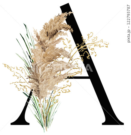 Black letter A with watercolor biege and golden dried pampas grass, tropical wedding illustration 122793787
