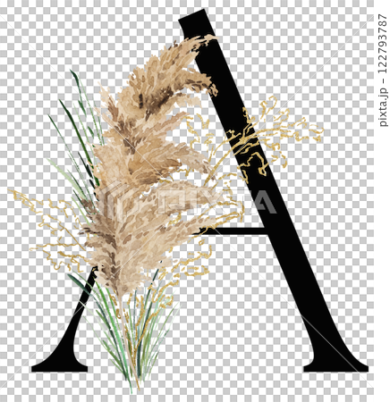 Black letter A with watercolor biege and golden dried pampas grass, tropical wedding illustration 122793787