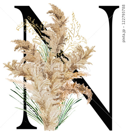 Black letter N with watercolor biege and golden dried pampas grass, tropical wedding illustration 122793788