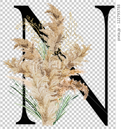 Black letter N with watercolor biege and golden dried pampas grass, tropical wedding illustration 122793788