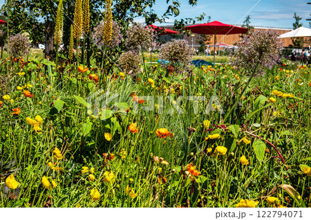 Impressions from the State Garden Show 2024 in Kirchheim, Bavaria, Germany Impressions from the State Garden Show 2024 in Kirchheim, Bavaria, Germany 122794071