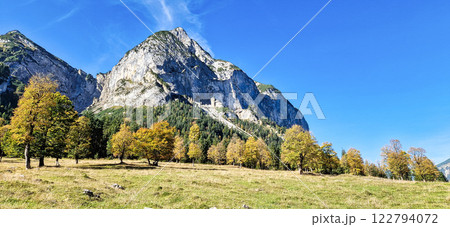 maple trees at Ahornboden, Karwendel mountains, Tyrol, Austria maple trees at Ahornboden, Karwendel mountains, Tyrol, Austria 122794072