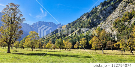 maple trees at Ahornboden, Karwendel mountains, Tyrol, Austria maple trees at Ahornboden, Karwendel mountains, Tyrol, Austria 122794074