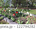 道の駅サーモンパーク千歳　春の公園 122794282