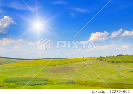 Fantastic rural area with fresh green pasture and blue sky on a sunny day. 122794606