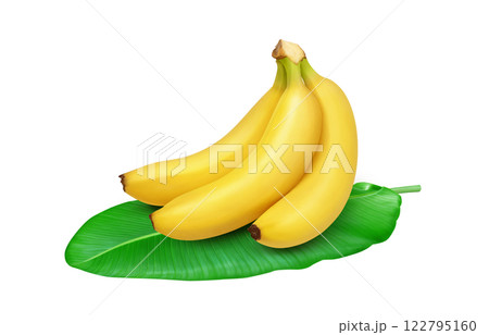バナナのイラスト リアル バナナのイラスト リアル 122795160