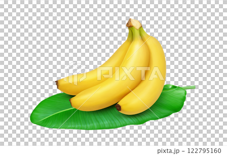 Realistic illustration of banana Realistic illustration of banana 122795160