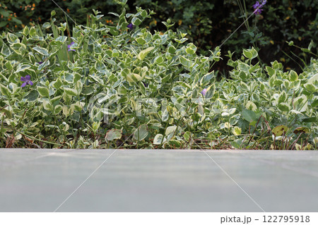 A path made of ceramic tiles in the garden. A path made of ceramic tiles in the garden. 122795918