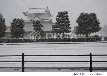 二条城（元離宮二条城）東南隅櫓と吹雪 122796625