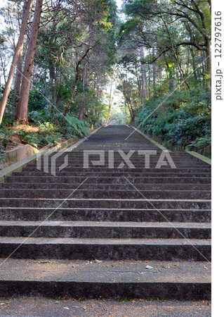 豊国廟　豊太閤廟前　前半　318段　まずは中腹の門を目指す 122797616