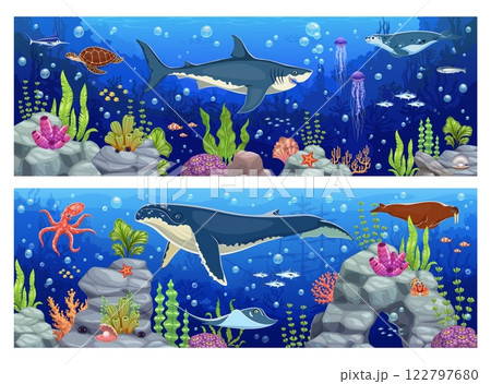 Underwater landscape game background with cartoon sea animals and seaweeds. Sea wildlife vector backdrop, underwater nature landscape wallpaper with shark, whale, seal, turtle and octopus, stingray Underwater landscape game background with cartoon sea animals and seaweeds. Sea wildlife vector backdrop, underwater nature landscape wallpaper with shark, whale, seal, turtle and octopus, stingray 122797680