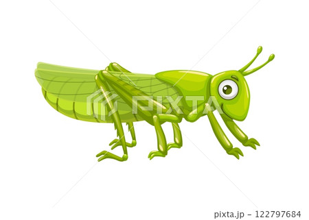 Cartoon locust insect or funny grasshopper character, vector mascot for kids. Cartoon green grasshopper or locust with funny face and goggly eyes, small cute insect from garden meadow or forest 122797684