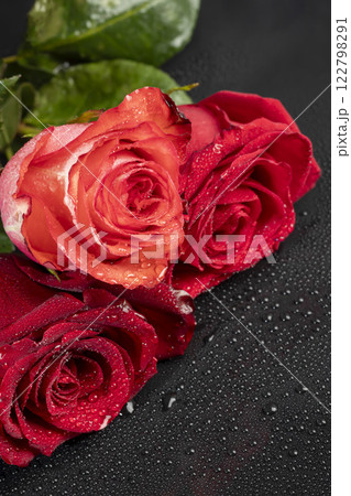 Roses on a bright background red and white. Mother's Day, birthday. Roses on a bright background red and white. Mother's Day, birthday. 122798291