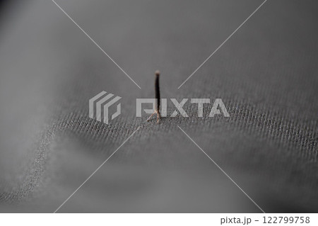 くっつき虫 122799758