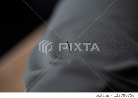 くっつき虫 くっつき虫 122799759