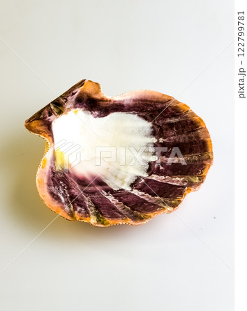 Natural shell. Sea scallop on a white background. Natural shell. Sea scallop on a white background. 122799781