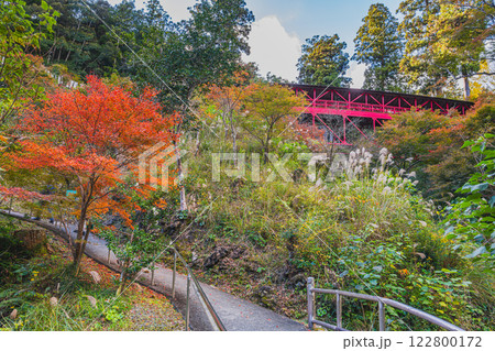 浜松市の方広寺の紅葉の中の亀背橋の風景(静岡県) 122800172