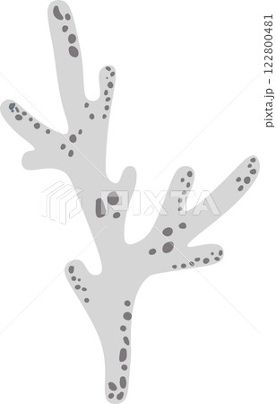 Flat vector illustration of a light grey lichen with dark grey spots growing on a white background, perfect for nature and biology projects Flat vector illustration of a light grey lichen with dark grey spots growing on a white background, perfect for nature and biology projects 122800481