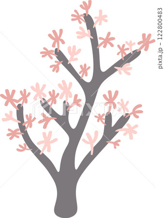 Pink coral polyps are growing on a dark gray gorgonian, resembling an abstract tree, adding a touch of delicate color to the underwater world 122800483