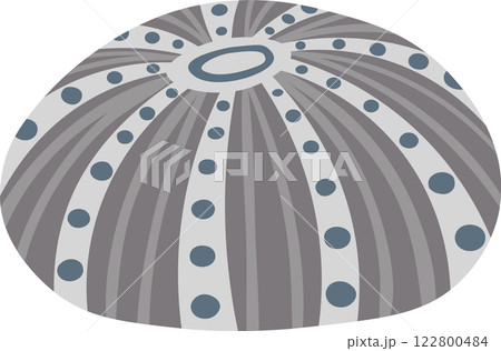 Grey sea urchin shell with blue dots and stripes radiating from center hole, representing marine life, ocean biodiversity, and coastal ecosystems 122800484