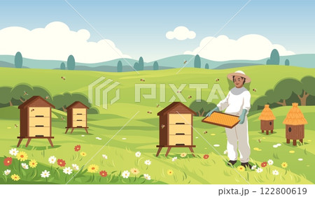 Beekeeper collects honey. Apiarist at flower meadow holds honeycombs, bees and hives, beautiful plain landscape, woman in protective clothing, organic food cartoon flat tidy vector background Beekeeper collects honey. Apiarist at flower meadow holds honeycombs, bees and hives, beautiful plain landscape, woman in protective clothing, organic food cartoon flat tidy vector background 122800619