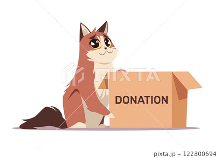 Stray cat near box asking for donations. Sad homeless domestic animal. Volunteering and assistance. Pet asking for support cartoon flat style isolated vector charity and adoption concept Stray cat near box asking for donations. Sad homeless domestic animal. Volunteering and assistance. Pet asking for support cartoon flat style isolated vector charity and adoption concept 122800694