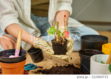 Woman repotting flower with gardening tools and fresh soil at home Woman repotting flower with gardening tools and fresh soil at home 122800715