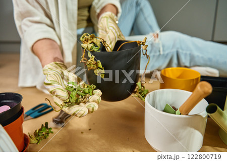 Person holding a dried plant in pot. Plant care 122800719