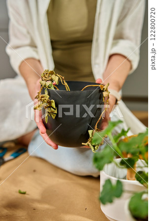 Woman holding a dried plant in a black pot 122800720