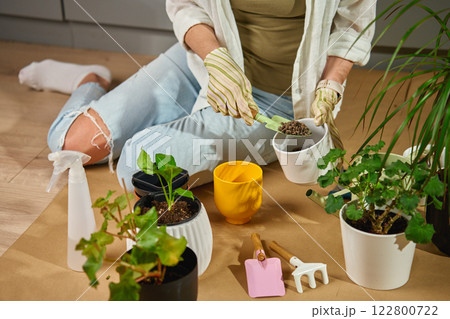 Woman gardening and repotting plants indoors 122800722