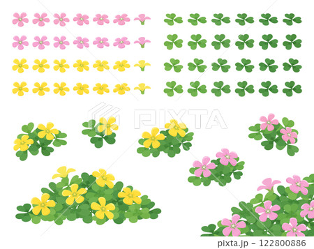 黄色とピンクのカタバミの花のイラスト素材セット 122800886
