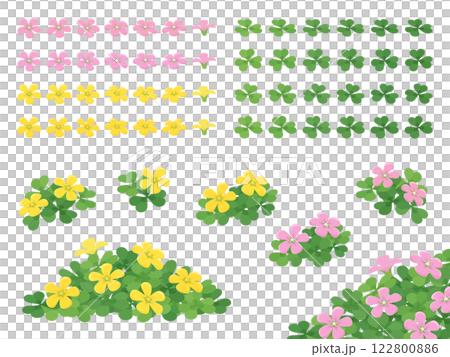 黃色和粉紅色的酢漿草花插圖素材集 122800886
